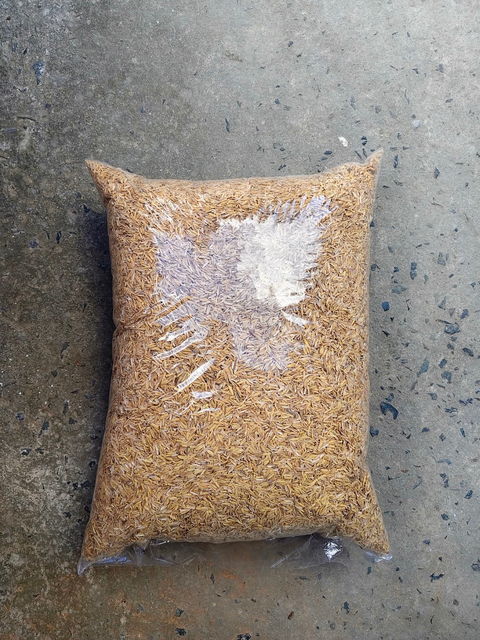 Rice Hull 1.5kg – Serena Blooms PH