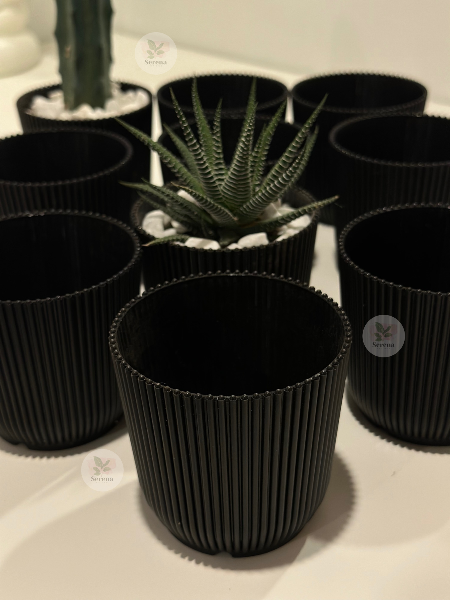 Mini Black Pot