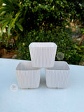 Mini White Cube Pot