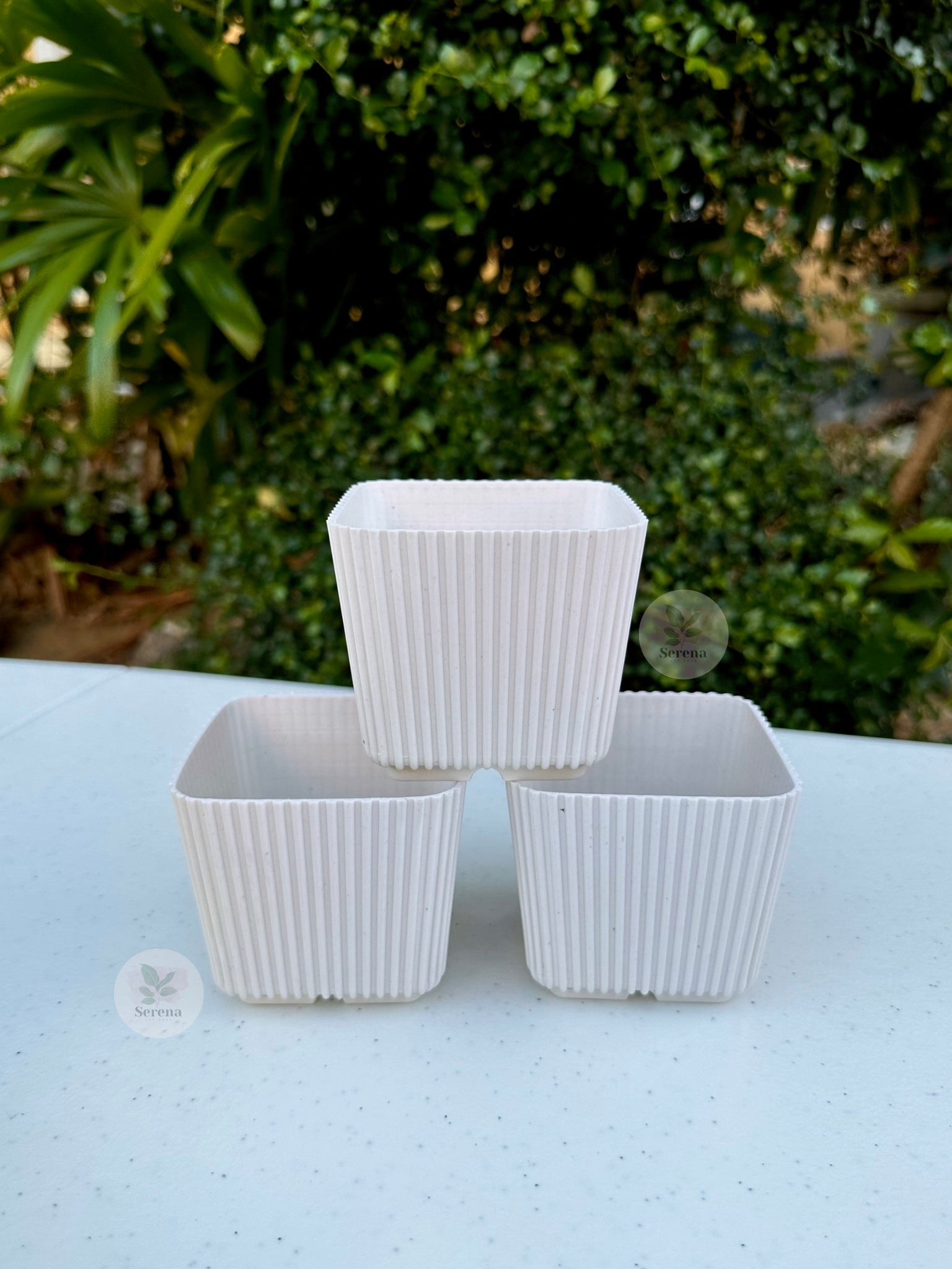 Mini White Cube Pot